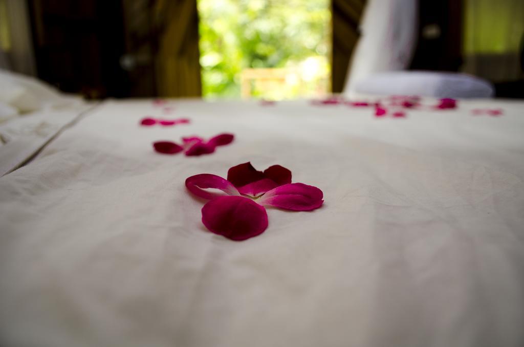 Tayrona Paradise Villa Zaino Eksteriør billede
