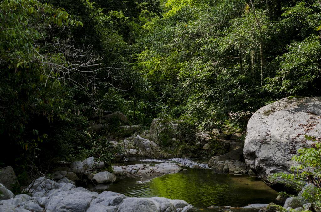 Tayrona Paradise Villa Zaino Eksteriør billede