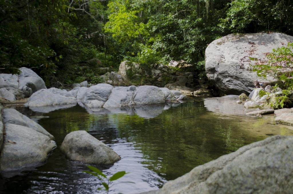 Tayrona Paradise Villa Zaino Eksteriør billede