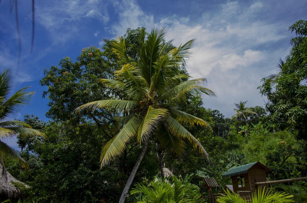 Tayrona Paradise Villa Zaino Eksteriør billede