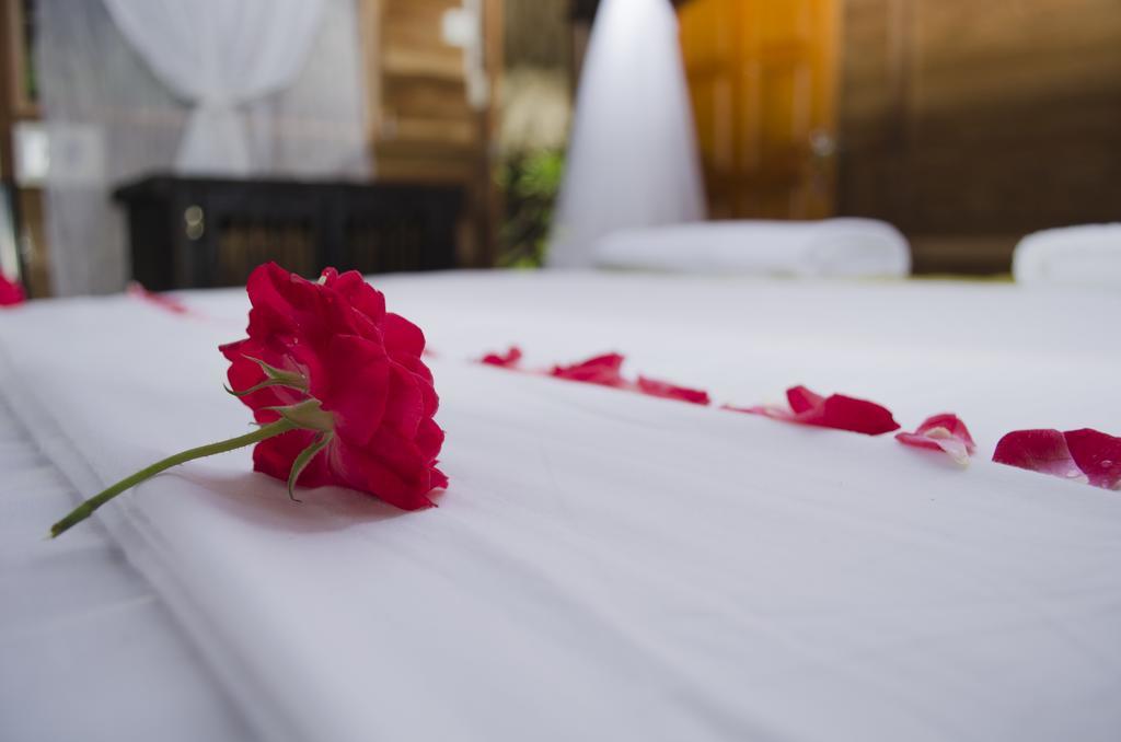 Tayrona Paradise Villa Zaino Eksteriør billede